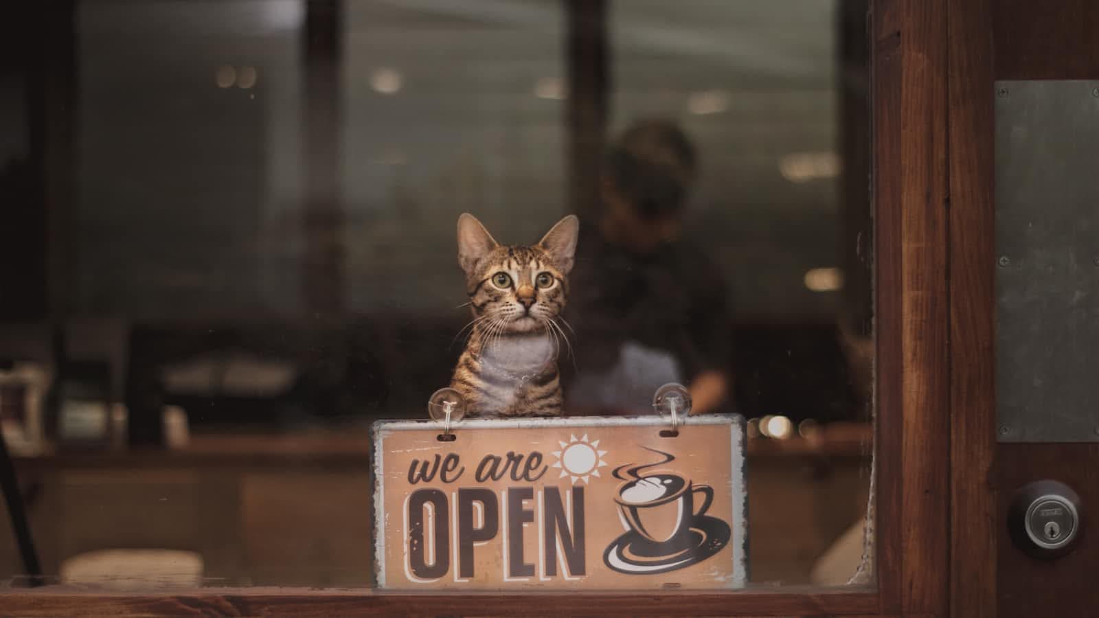 Shift Left with Open ASPM: The Future of Accessible Cybersecurity